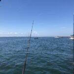 Chesapeake Bay is home to the regions best fishing!